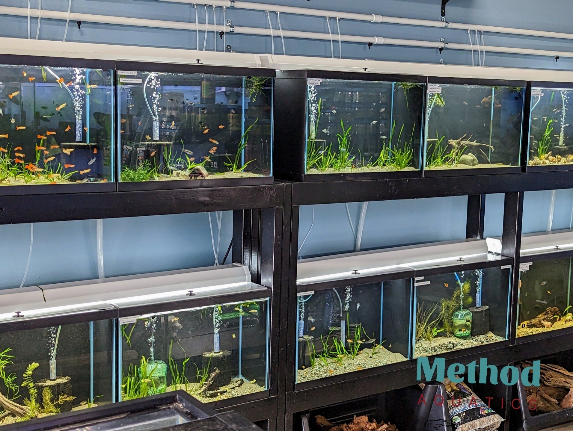 Method Aquatics Tropical Fish Display
